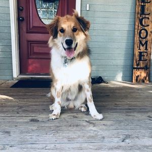 Meet your Posher, Carol